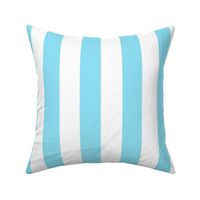 Robins Egg Blue stripe 2"