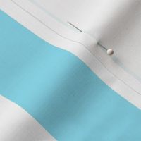 Robins Egg Blue stripe 2"