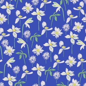 CT2209 Wild Daisy White Royal Blue