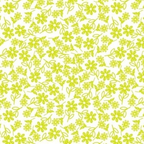 Small Chartreuse Flowers on White