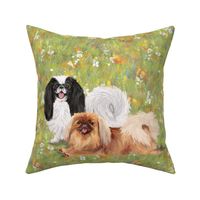 Two Pekingese Dogs on WIldflower Field for Pillow