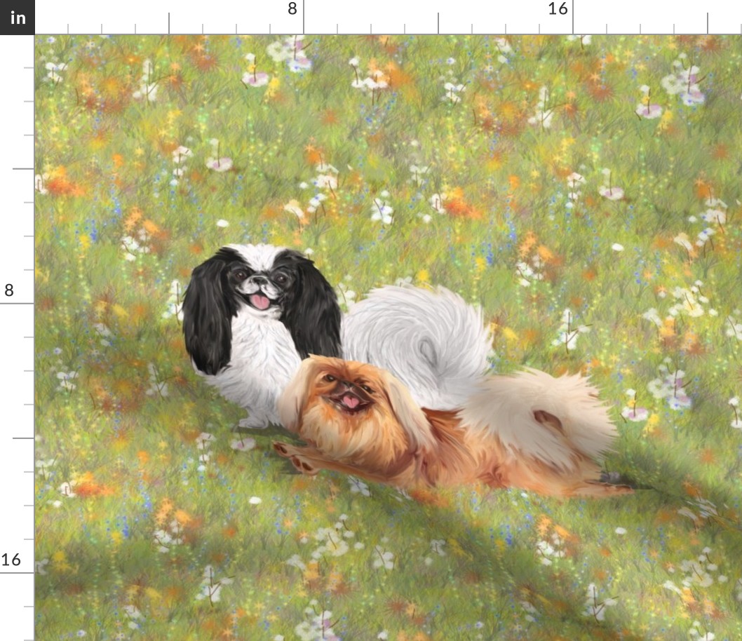 Two Pekingese Dogs on WIldflower Field for Pillow