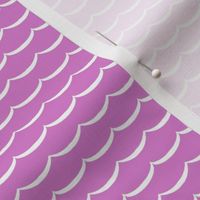 Violet and white scallop fabric or wallpaper