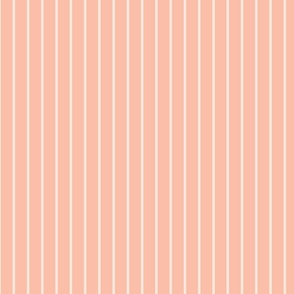 Pink Stripe_SMALL