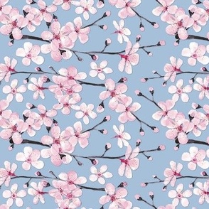 pink cherry blossom on blue