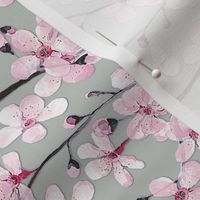 Cherry blossom on grey