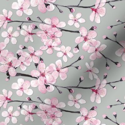 Cherry blossom on grey