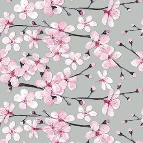Cherry blossom on grey