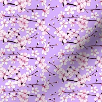 cherry blossom on lilac or pale violet