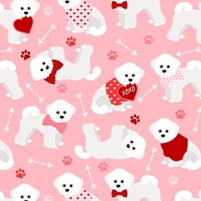 Bichon Frise Valentine Pink