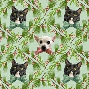 Cat and Dog Christmas