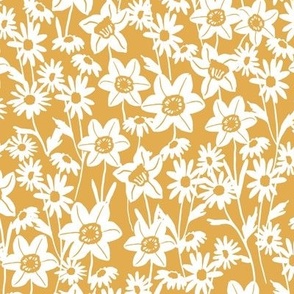 Daffodil garden in sunshine-9x9