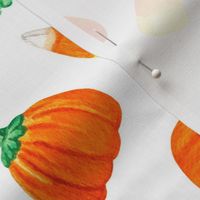 Large Scale Trick or Treat Halloween Candy Corn and Pumpkins Autumn Mellocremes on White