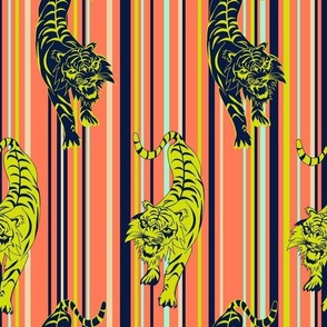 Tiger Stripes - Papaya