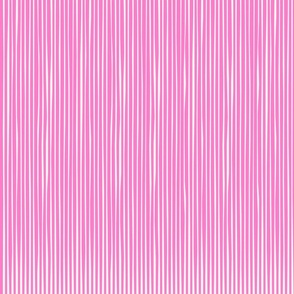 Stripes Carnation