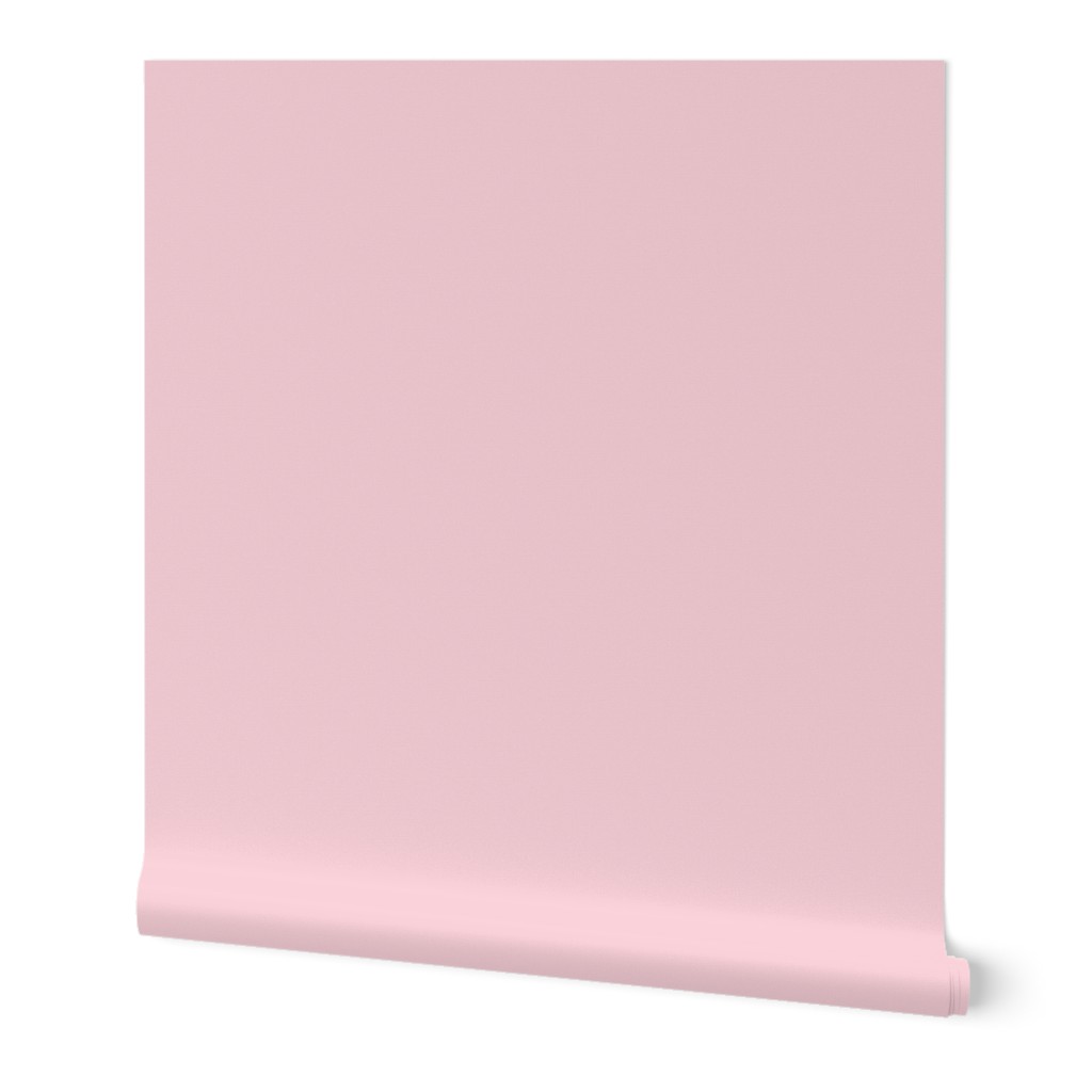 Pastel pink Solid - cotton candy, baby pink, light pink solid 
