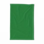 St Patrick's Irish Green - solid green, Irish green solid, green coordinate 