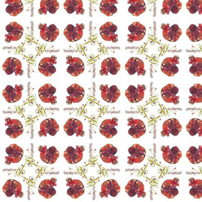 pomegranate passion-fabric