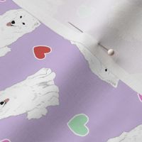 Tiny American Eskimo Dog - Valentine hearts