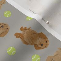 Tiny Basset Fauve de Bretagne - tennis balls