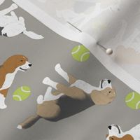 Tiny Beagles - tennis balls