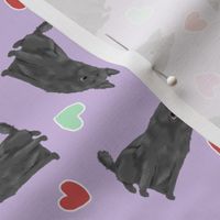 Tiny Belgian Sheepdogs - Valentine hearts