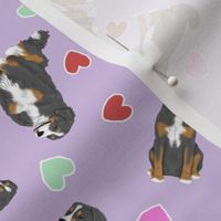 Tiny assorted Sennenhund Mountain dogs - Valentine hearts