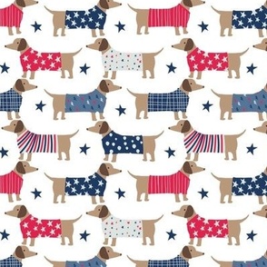 July 4 dachshund dogs red blue
