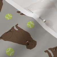 Tiny Chocolate Labrador Retrievers - tennis balls