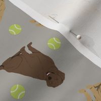 Tiny Labrador Retrievers - tennis balls
