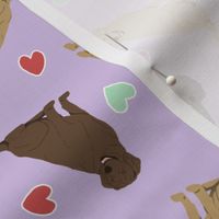 Tiny Labrador Retrievers - Valentine hearts