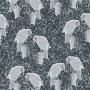 Medium - Scattered  Pinyon Jay Ice Sculptures on Crackly Slate Grey Background