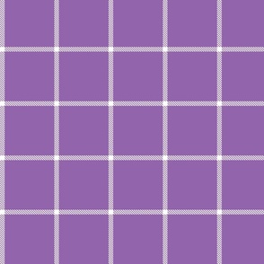 buffalo grid amethyst purple reversed