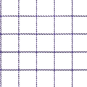 buffalo grid purple