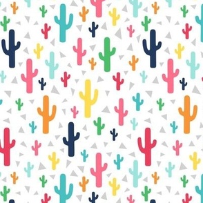 cacti cactus geometric - my fave rainbow