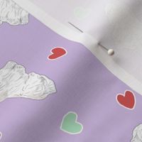 Tiny Coton de Tulear - Valentine hearts