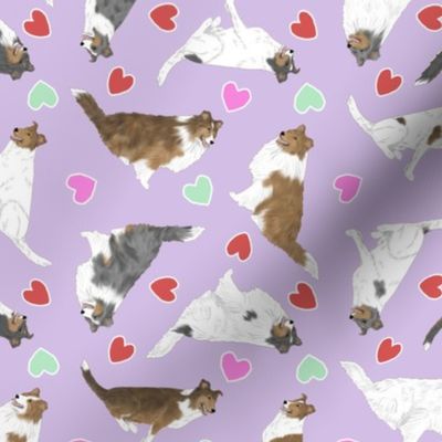 Tiny assorted Collies - Valentine hearts