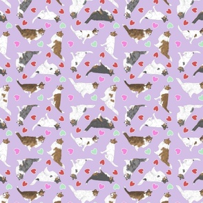 Tiny assorted Collies - Valentine hearts