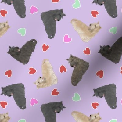 Tiny Scottish terriers - Valentine hearts