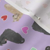 Tiny Scottish terriers - Valentine hearts