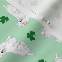 Tiny Sealyham terriers - shamrocks