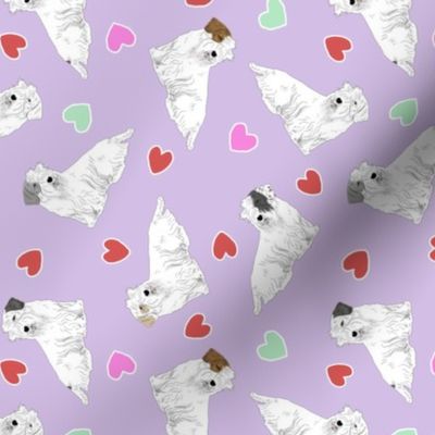 Tiny Sealyham terriers - Valentine hearts