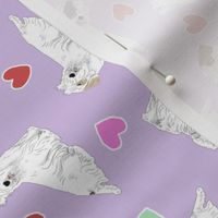 Tiny Sealyham terriers - Valentine hearts