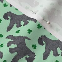 Tiny Trotting Kerry Blue Terrier and paw prints - shamrocks