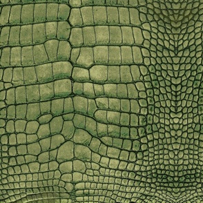 Green Dragon Crocodile Aligator Reptile Scales