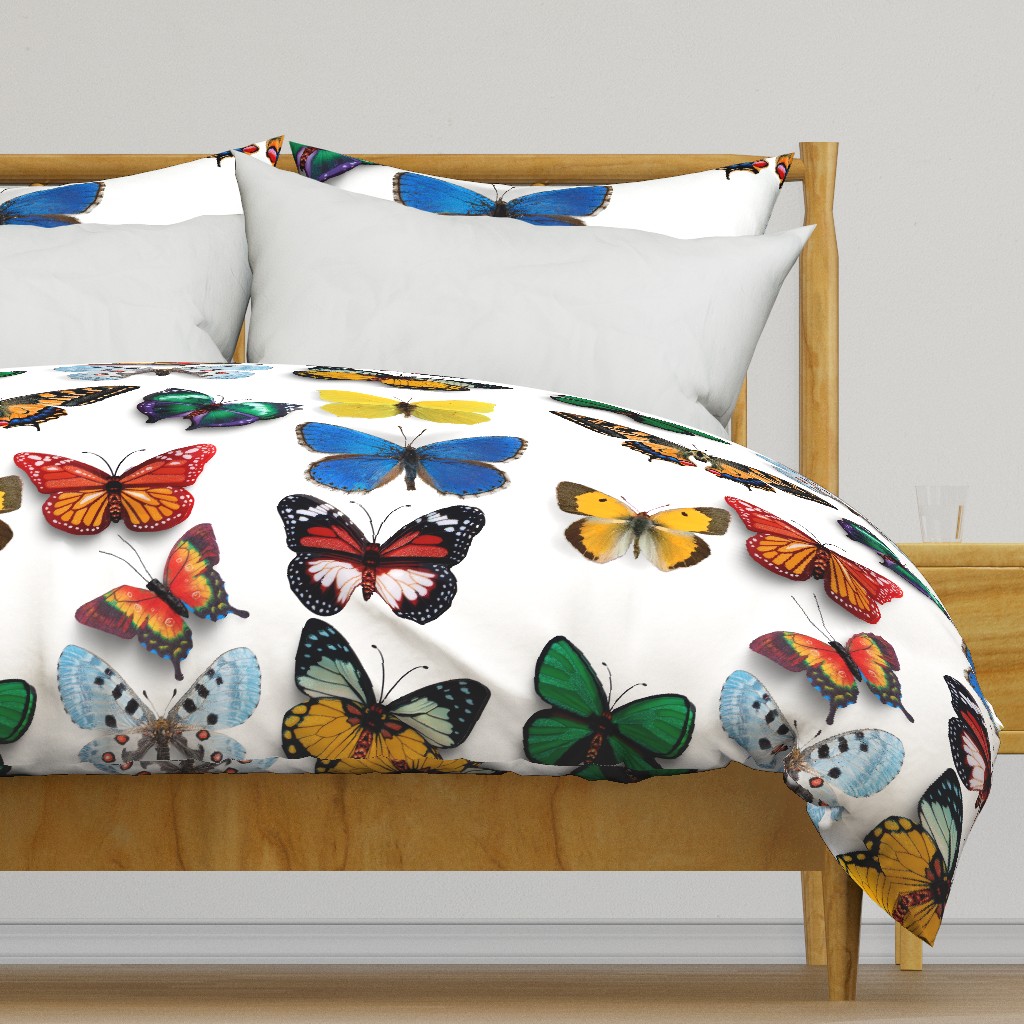 Butterfly collection digital pattern design 