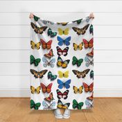 Butterfly collection digital pattern design 