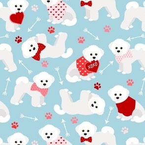 Bichon Frise Valentine Blue