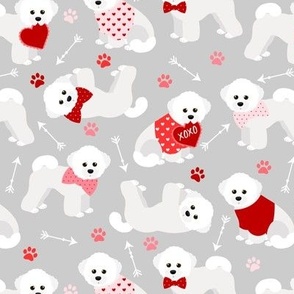 Bichon Frise Valentine Gray