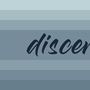 discern_dusty-blue-navy